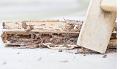 Sharp Town Termite Removal Experts